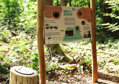 Arbor Konzepte | Biodiversitätspfad Schwäbisch Gmünd - Infotafel Boden